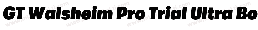 GT Walsheim Pro Trial Ultra Bold Re字体转换